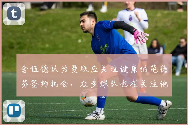 舍伍德认为曼联应关注健康的范德芬签约机会，众多球队也在关注他