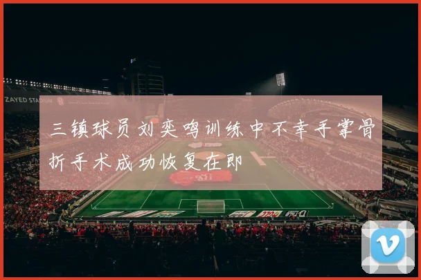 三镇球员刘奕鸣训练中不幸手掌骨折手术成功恢复在即